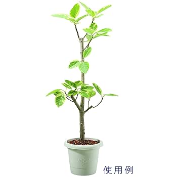 グレイスポット 38型 テラコッタブラウン 17個セット グレイスポット 38型 テラコッタブラウン 17個セット